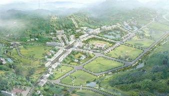 园林行业论坛，如何精准定位，提升内容吸引力？