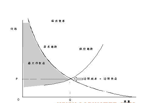 射干种子价格波动大，种植方法多样