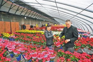 土地的循环利用