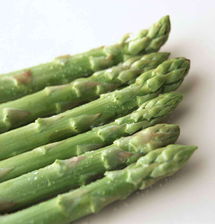 “春季种植芦笋最佳月份是什么？需要考虑哪些关键因素