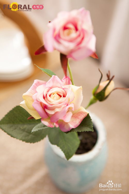 第三步：种植方法