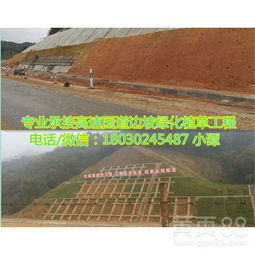 喷播植草：那是什么东西？