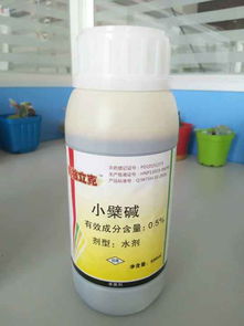 草甘膦灌根，竹子Neng被彻底杀死吗？