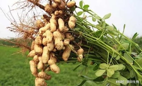 控旺技巧，你掌握了吗？