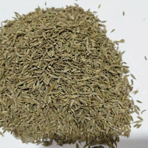 先来认识一下孜然