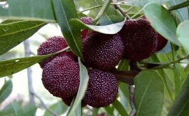 育苗不用花大钱！我的省钱妙招大公开！