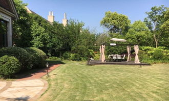 绿植种类多， 价格乱窜