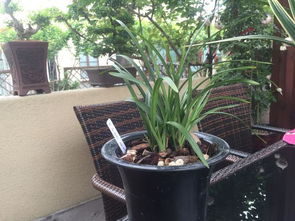 排水孔数量， 保命通道数量