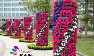 园艺花卉， 隶属于植物生产的大阵营