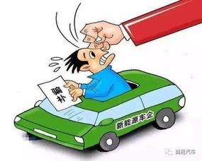 问题三：如何避免农药矮脚虎的残留？