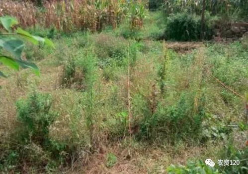 使用方法，得讲究