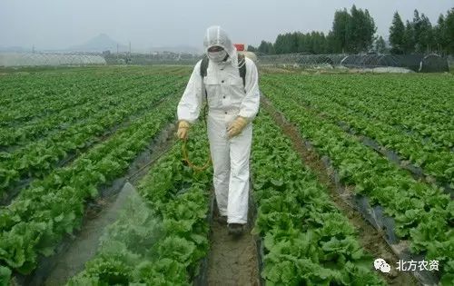 投资农药化肥，怎么走这步棋呢？