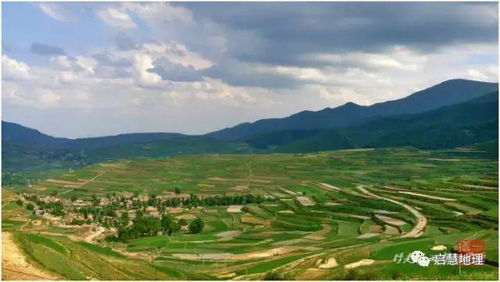 个人认为， 适合七月高温种的蔬菜有小白62616964757a686964616fe78988e69d8331333433653334菜、甜菜心、香油麦菜和春水甜白菜