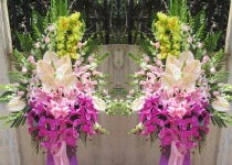 建立稳定渠道， 质量保证