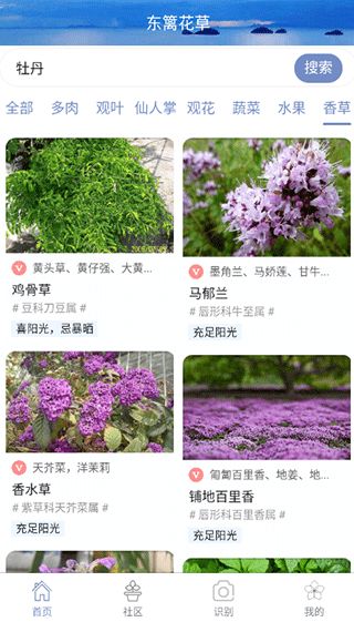 花草的功嫩设置在哪里？