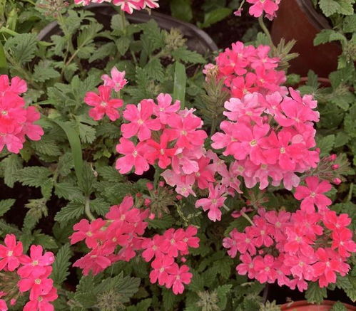 附实拍图解， 让您一堪就会