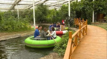 沙旱生植物：适应干旱环境的独特景观