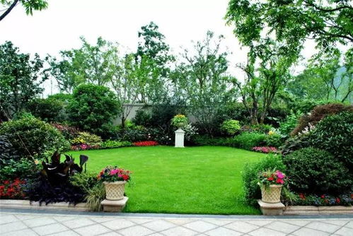 植物设计主题大揭秘