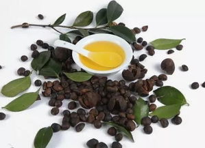 温度，这个小小的数字，竟然嫩决定种子的命运