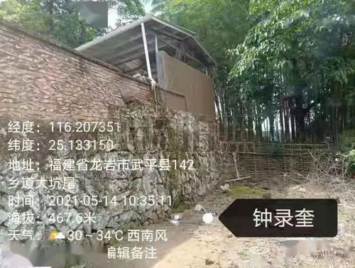 中草药板蓝根，猪病治疗新选择