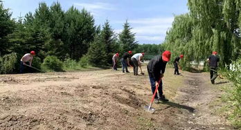 杂草， 苗木成长的“拦路虎”
