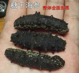 海参价格区间120-800元/斤