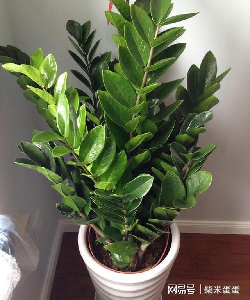 上海王先生的成功经验：如何避开价格陷阱