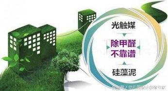 乙草胺分解之谜：揭秘有害物质与环境影响