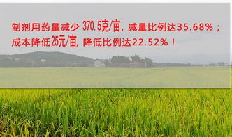 科学使用， 绿色防控