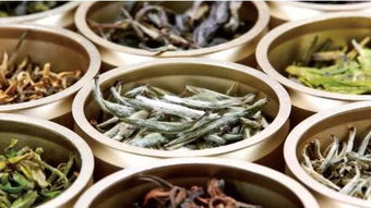 易武春饼宝福邻茶叶价格一览，一罐多少？