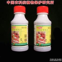 保护与治疗：双重保险