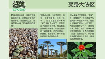 探索自然智慧， 共筑绿色未来