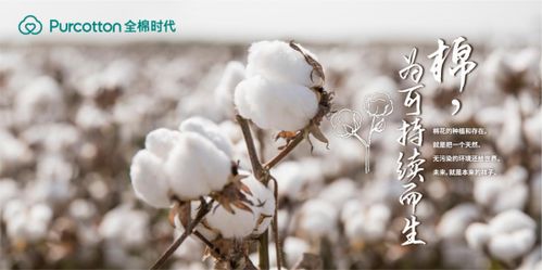 棉花之美，纯真与温暖的象征