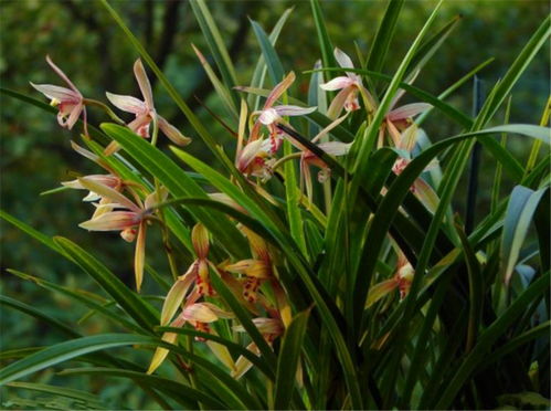 浇水工具， 也要讲究