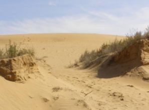 榆林毛乌素沙地的播种智慧