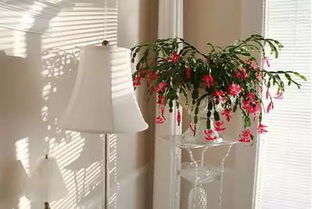 空气过滤器与心情放松