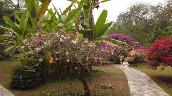 经济效益对比， 各有所长