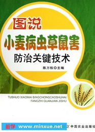 小麦生病了？别急，来kankan这百菌清的神奇疗效！