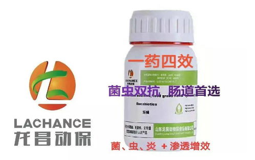 2. 选择合适的时机