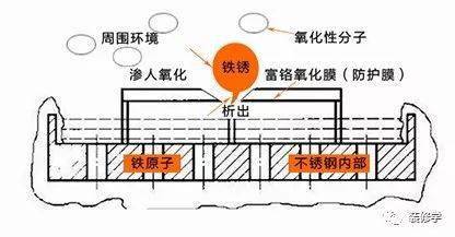 农药与不锈钢管的秘密协议