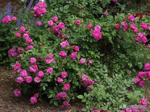 科技创新， 产业新增长点