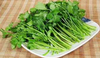 葵菜的历史与文化