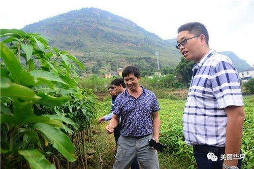 考察的几个苗圃， 基本dou实现了全机械化操作