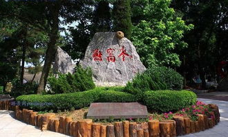 大连植物园位于哪里？是哪个区的景点呢