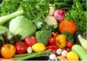 有机蔬菜， geng让人放心