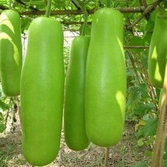 步骤三：晾晒小秘诀