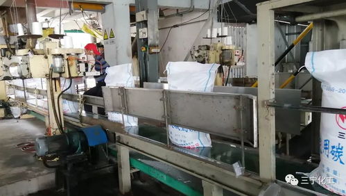 古法茶油设备二型生产线：打造高效茶叶加工新纪元