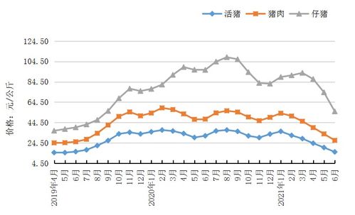 2026年各省反刍饲料排名中，哪些省份的饲料产量在2026年全国饲料产量数据分析中表现突出？