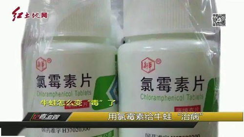 用户关心的问题