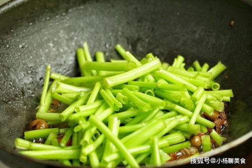 “在哪个季节种植空心菜最为适宜？”